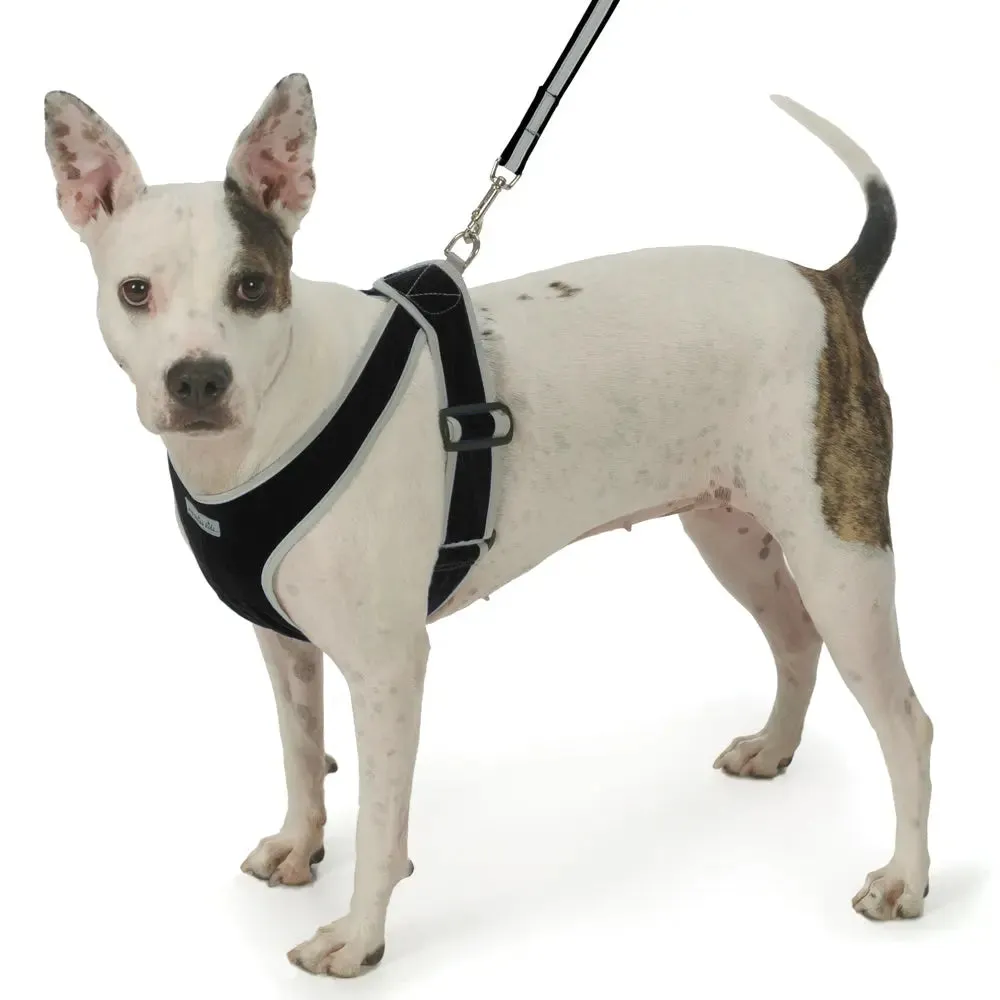 Precision Fit™ Step In Dog Harness Adjustable Nylon - 3 LBS to 40 LBS